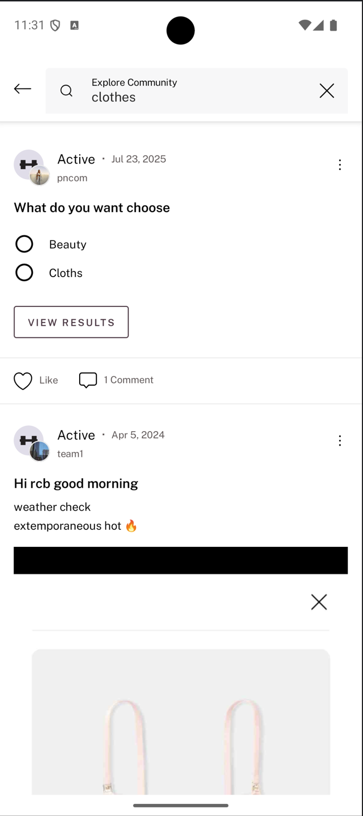Community search results for clothes, showing a poll and a post